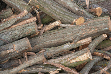 Sawn trees and folded in a pile. Piled logs. Texture, background.