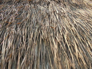background of straw