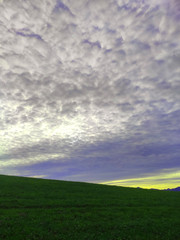 Fototapeta premium Cielo con nubes blancas con cesped verde