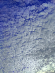 Nuves blnacas en cielo azul