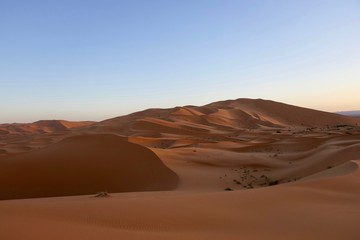 Plakat Sand dunes in Sahara with interesting shades and texture in desert landscape during sunrise, Morocco, Africa
