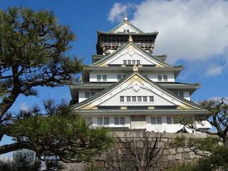 大阪城　前景に松　全景正面から青空を背景に　059