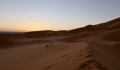 Fototapeta na wymiar Sand dunes in Sahara with interesting shades and texture in desert landscape during sunrise, Morocco, Africa