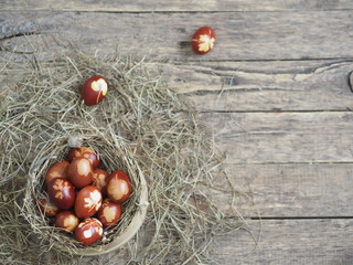 Christ is risen. Onion-painted eggs on dried grass in a nest. Traditional spring festive orthodox...