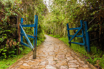 Fototapeta premium Open gate on the stone footpath in tropical forest