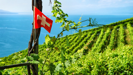 Swiss flag at Vineyard Terraces hiking trail of Lavaux, Lake Geneva and Swiss mountains,...