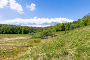 Fototapeta na wymiar idyllic springtime landscape composite. meadow among the forest. high tatra mountain ridge with snow capped peaks in the distance. sunny weather with clouds on the sky. beauty of nature concept
