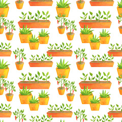 Watercolor plants in a flowerpot seamless pattern. Hand drawn red pepper seedlings and aloe in a pot. Cute gardening illustration isolated on white background for cards, decoration, wrapping paper.