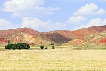 Fototapeta na wymiar Beautiful landscape with wheat field, red mountains and blue cloudy sky in central Turkey