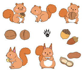 Various actions of squirrels, a group
