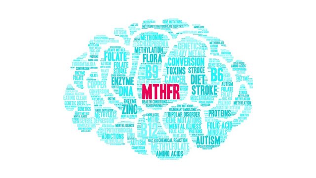MTHFR Brain Animated Word Cloud on a white background. 