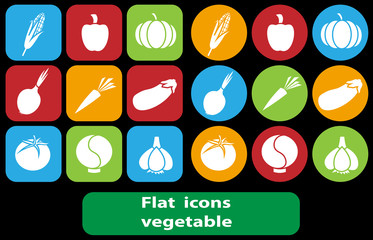 Vector set of flat icons. Isolated flat icons vegetables. Icon collection for web sites with food