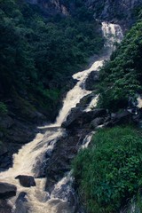 waterfall in forest