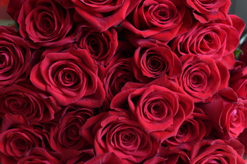 background with beautiful red roses