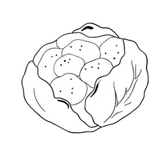 Cauliflower hand drawn vector illustration. Vegetable engraved style. Food farm market product isolated on white background.