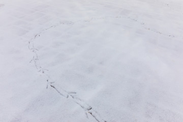 footprints of birds on the cobblestones