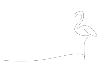 Fototapeta premium Flamingo bird animal line drawing vector illustration