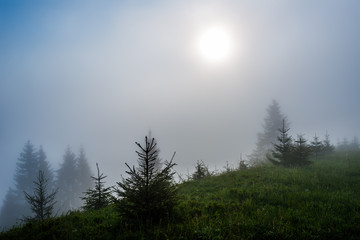 Beautiful mesmerizing landscape covered in thick fog