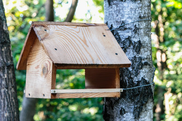 Bird feeder in the park