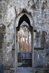 Muckross Abbey close-up, Ireland, UK