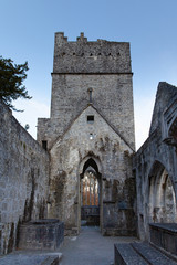 Fototapeta na wymiar Muckross Abbey, Ireland, UK