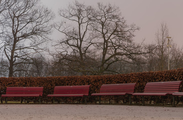 Czerwone drewniane ławki w parku nocą