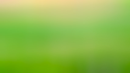 Abstract green color grandient blur background