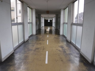 学校の廊下　-　school hallway
