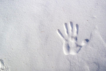 Imprints of a hand on the snow