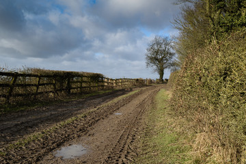 Fototapeta na wymiar Rural Country Lane In Nottinghamshire England.