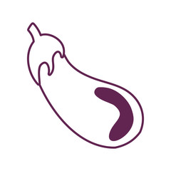 fresh eggplant vegetable isolated icon