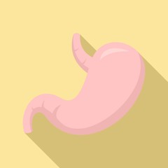 Healthy stomach icon. Flat illustration of healthy stomach vector icon for web design