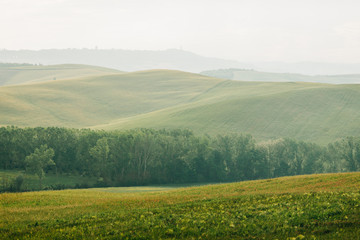 Beautiful countryside landscape in Val d'Orcia area in Tuscany, Italy