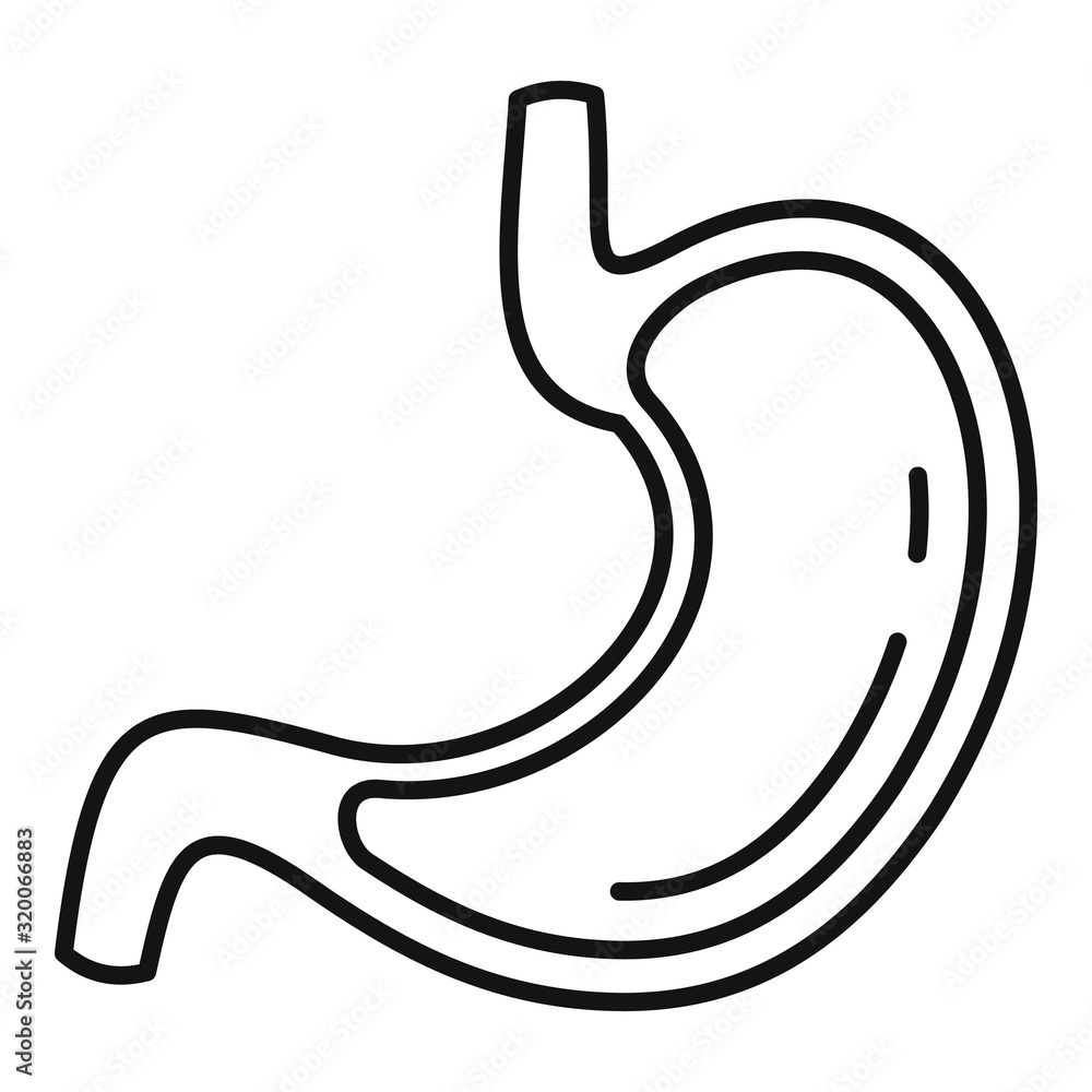 Poster stomach section icon. outline stomach section vector icon for web design isolated on white backgroun