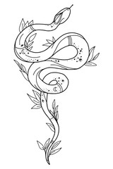 Vintage line snake. Vector illustration.  Collection of Mystical and Mysterious objects. Line art illustration isolated on white background.