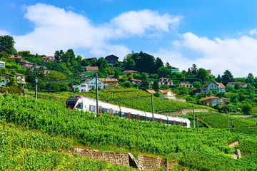 Fototapeta na wymiar Lavaux, Switzerland - August 30, 2016: Running train at the railroad near Lavaux Vineyard Terrace hiking trail, Lavaux-Oron district, Switzerland