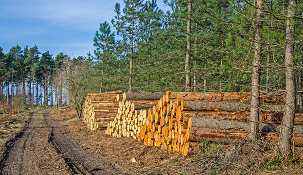 Logging in Moray