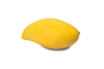 Yellow ripe mangoes on a white background.