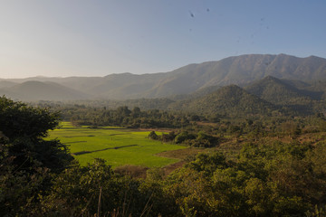 Obraz premium hill stt\ation while travveling to aaraku from vizag 