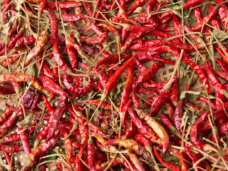 Fototapeta premium 唐辛子 複数 アップ