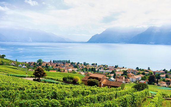 Swiss village near Lavaux Vineyard Terrace hiking trail, Lake Geneva and Swiss mountains, Lavaux-Oron district in Switzerland