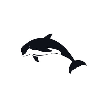Image of fish icon. Creative vector illustration of a fish club or fish shop. Dolphins logo template