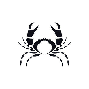 Image of fish icon. Creative vector illustration of a fish club or fish shop. Crab logo template