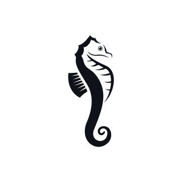 Image of fish icon. Creative vector illustration of a fish club or fish shop. Seahorses logo template