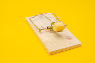 Mousetrap with cheese on a yellow background close-up
