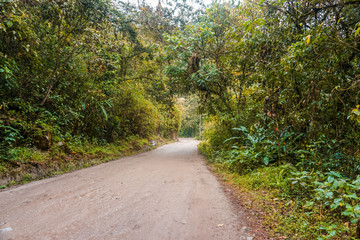  Beautiful paths to the jungle