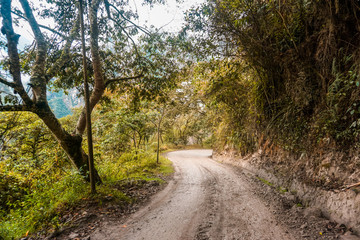  Beautiful paths to the jungle