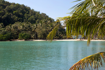 Tropical island beach with coconut palm trees. Sand spit in the sea.