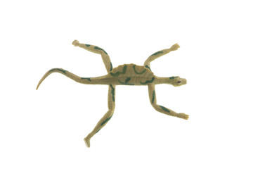 green toy lizard isolated on white background