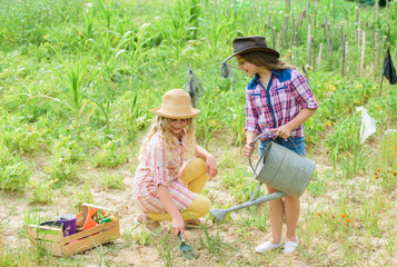 Sisters together helping at farm. Girls planting plants. Agriculture concept. Growing vegetables. Hope for nice harvest. Rustic children working in garden. Planting and watering. Planting vegetables